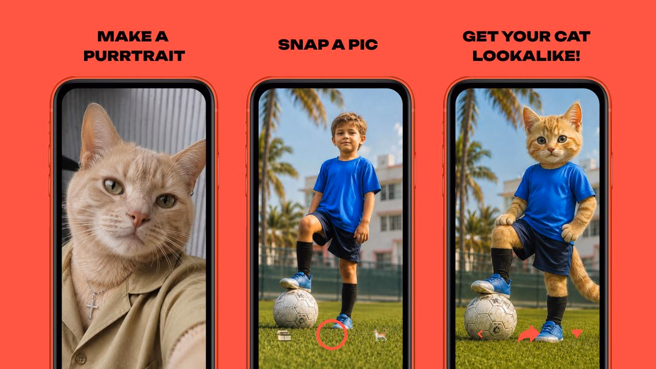 CAT ME app preview