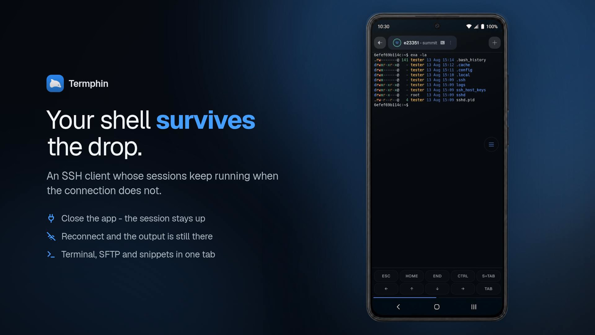 Termphin preview