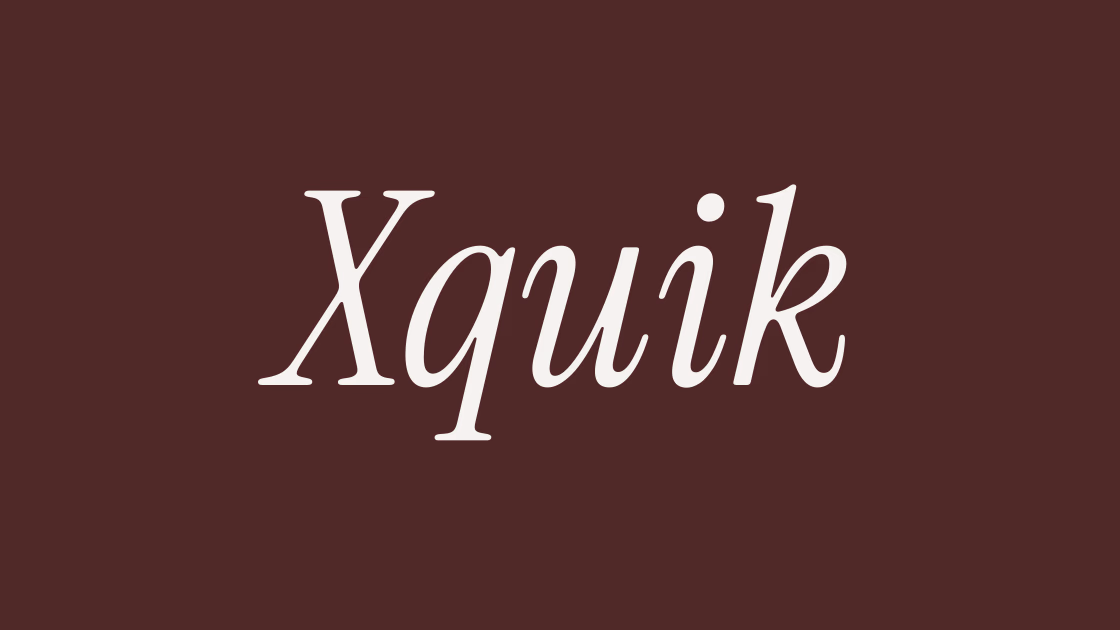 Xquik preview